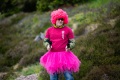 - News, 52. GutsMuths Rennsteiglauf - KV6_8172.NEF