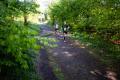 - News, 52. GutsMuths Rennsteiglauf - KV4_2831.NEF