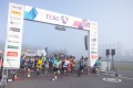Halbmarathon
