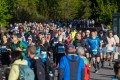 Halbmarathon