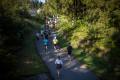 Halbmarathon