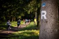 Halbmarathon
