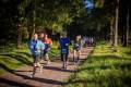 Halbmarathon