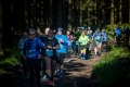 Halbmarathon