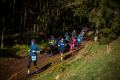 Halbmarathon