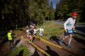 Halbmarathon