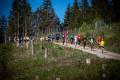Halbmarathon