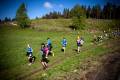 Halbmarathon