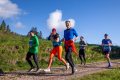 Halbmarathon