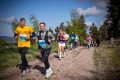 Halbmarathon
