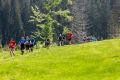 Halbmarathon