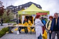 OBERHOF, GERMANY - MAY 8: Feature before the 53. GutsMuths Rennsteiglauf on May 8, 2026 in Oberhof, Germany. (Photo by Kevin Voigt)
