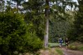 SCHMIEDEFELD AM RENNSTEIG, GERMANY - MAY 9: Feature during the 53. GutsMuths Rennsteiglauf on May 9, 2026 in Schmiedefeld am Rennsteig, Germany. (Photo by Kevin Voigt)