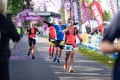 SCHMIEDEFELD AM RENNSTEIG, GERMANY - MAY 9: Feature during the 53. GutsMuths Rennsteiglauf on May 9, 2026 in Schmiedefeld am Rennsteig, Germany. (Photo by Kevin Voigt)