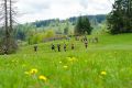 Rennsteiglauf Marathon