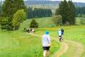 Rennsteiglauf Marathon Rennsteiglauf Marathon