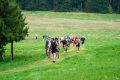 Rennsteiglauf Marathon Rennsteiglauf Marathon