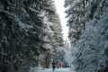 DSC00360 DSC00360