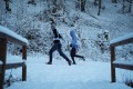 DSC00409 DSC00409