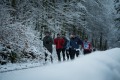 DSC00443 DSC00443