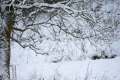 DSC00785 DSC00785