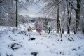 DSC00842 DSC00842