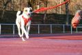 DSC01504-01